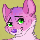 The head of a pink squirrel